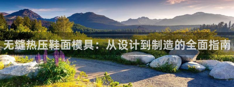 杭州易倍达科技有限公司怎么样：无缝热压鞋面模具：从设计到